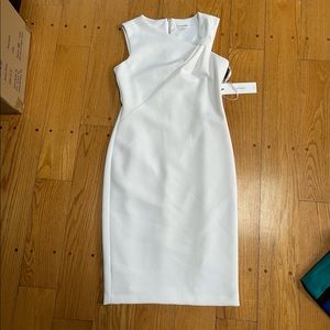 NWT Calvin Klein interview dress